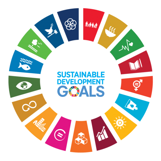 Global Focus- YSDC & SDGs